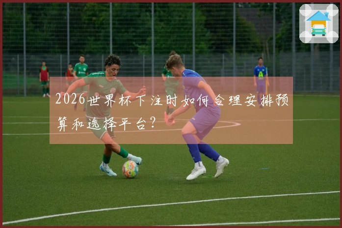 2026世界杯下注时如何合理安排预算和选择平台？