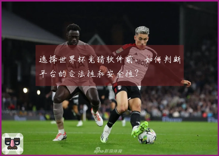 选择世界杯竞猜软件前，如何判断平台的合法性和安全性？